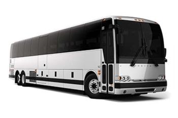 50 Passenger Bus