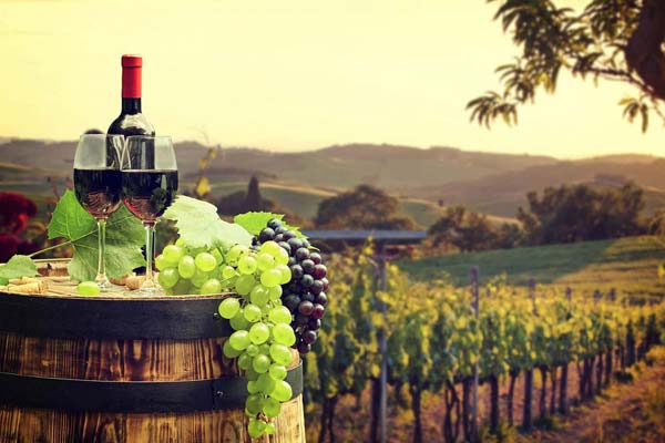 Dallas Winery Tour Limo Services | Top Dallas Limousines